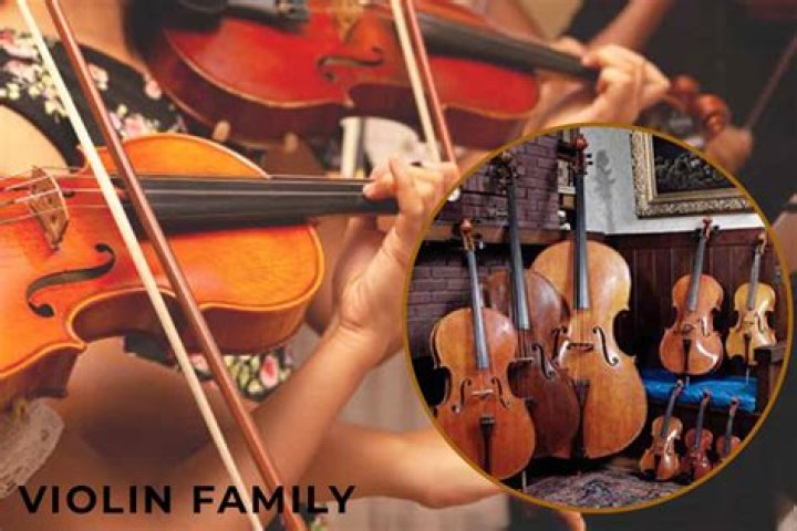 A Legacy of Violin Virtuosity and Musical Advocacy