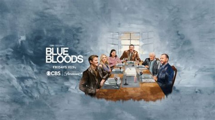 An Actor's Journey From American Dreams To Blue Bloods
