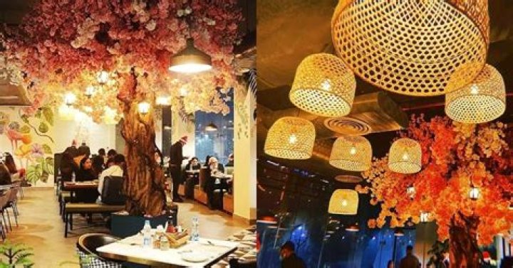 Culinary Delights And Refined Ambiance Unveiled