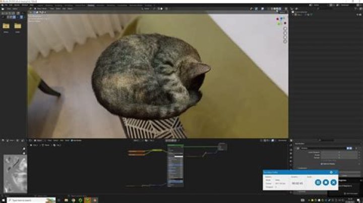 Discover The Truth Behind "What Is Cat Blender Video"