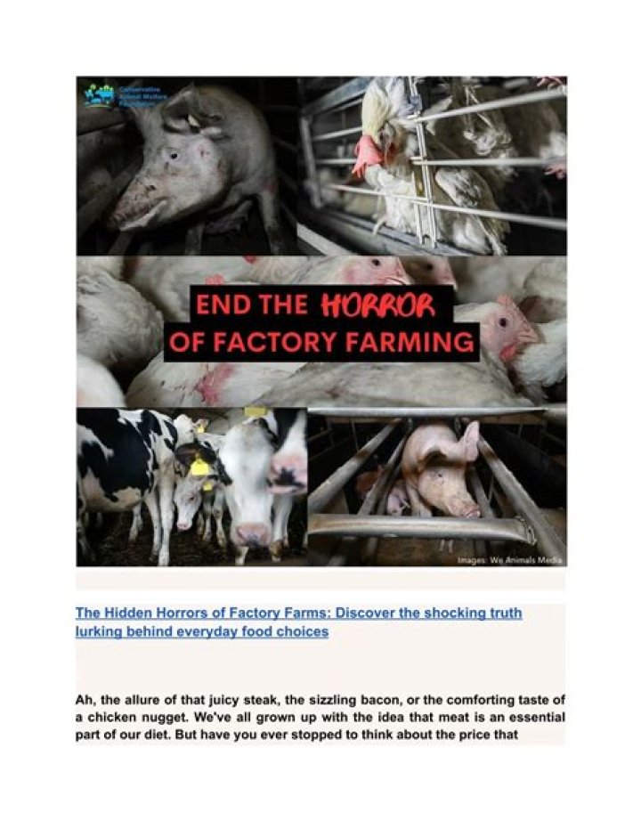 Exposing Animal Abuse and Factory Farm Horrors