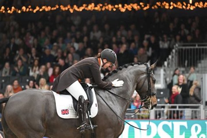 Height And Athleticism In Cari Champion Horses