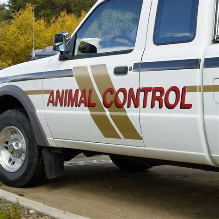 Insights From Animal Control Wikipedia
