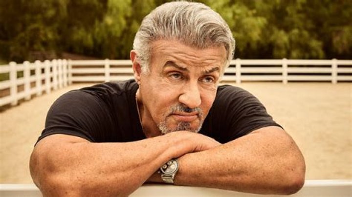 Is Sylvester Stallone Bound To A Wheelchair?