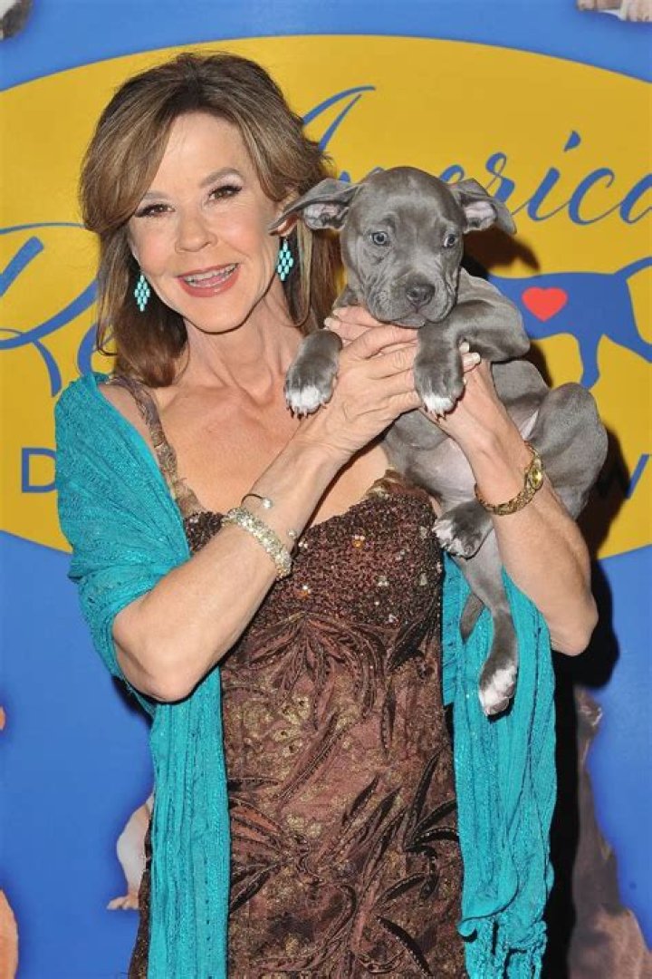Linda Blair Net Worth - JiveBlog