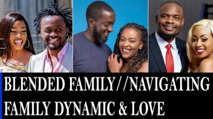 Navigating Dynamics in a Blended Family