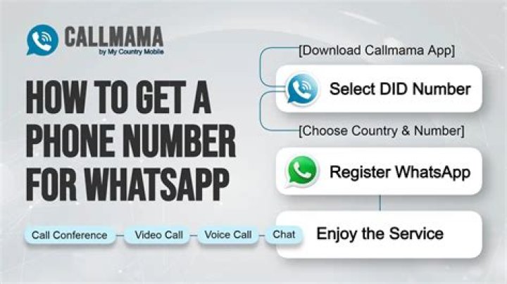 Phone Number, WhatsApp, And More
