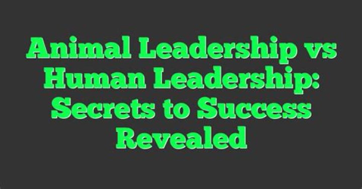 Secrets To Success And Animal Advocacy