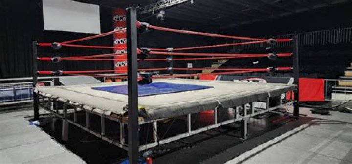 Uncovering The Pillars Of A Wrestling Dynasty