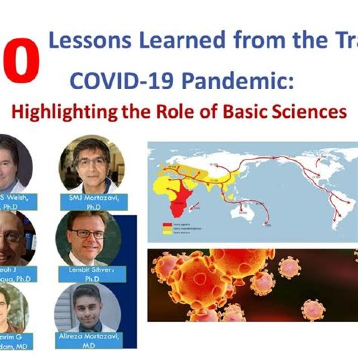 Uncovering The Tragic Losses And Lessons Learned