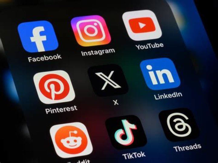 Unlocking Her Digital Presence Across Wikipedia, Twitter, Instagram, and Reddit