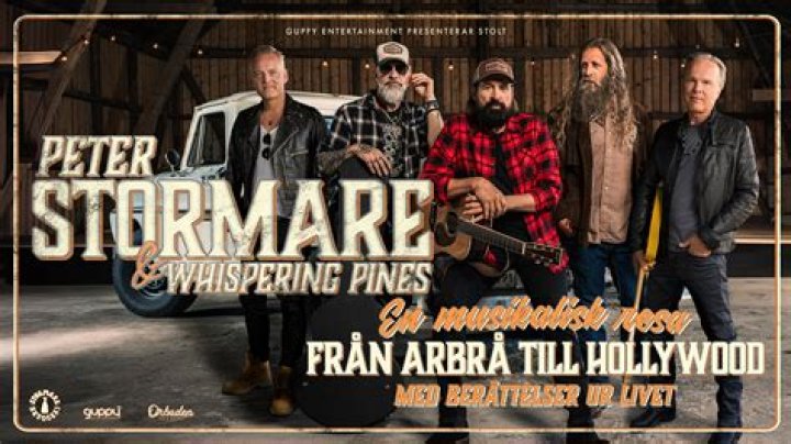 Unraveling The Relationships Of Peter Stormare