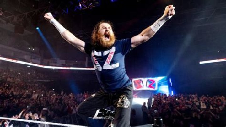 Unveiling Sami Zayn's Heritage: A Journey Into Identity