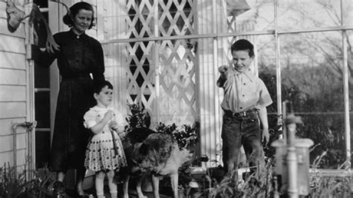 Unveiling The Private Lives Of Peter Oppenheimer's Children