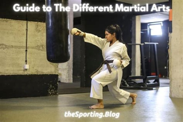 Unveiling The Secrets And Techniques Of A Martial Arts Master